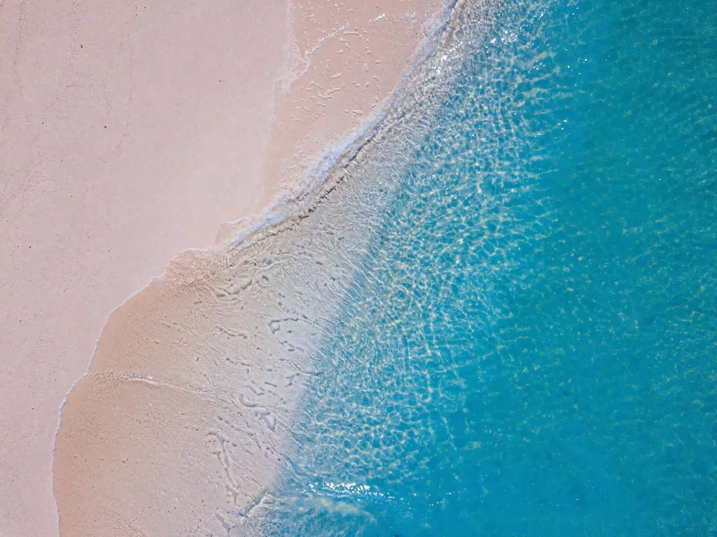 sand shore during the day