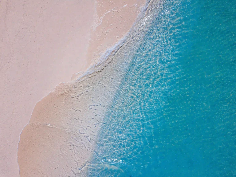 sand shore during the day